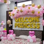Baby Girl Welcome Room Decoration