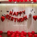 Surprise Birthday decoration